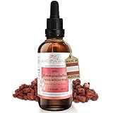 Phoenix der Lebenskraft