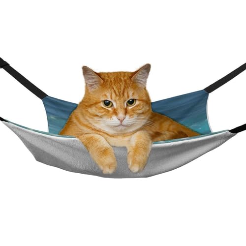 Hamac pour chat bleu foncé réglable et suspendu pour petits animaux