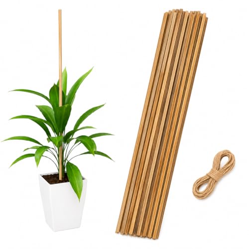 Image of EXALT Premium Natural Teak Wood Plant Support Sticks - Garden Sticks for Straightening Training and Supporting Plants - Strong and Durable Solution for Healthy Growth (4 Feet 12 pcs)