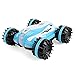 Lihgfw Télécommande Voiture à Quatre Roues motrices Grand Charging amphibie-Terrain résistant à la Chute des Enfants de 6 Ans Toy Boy