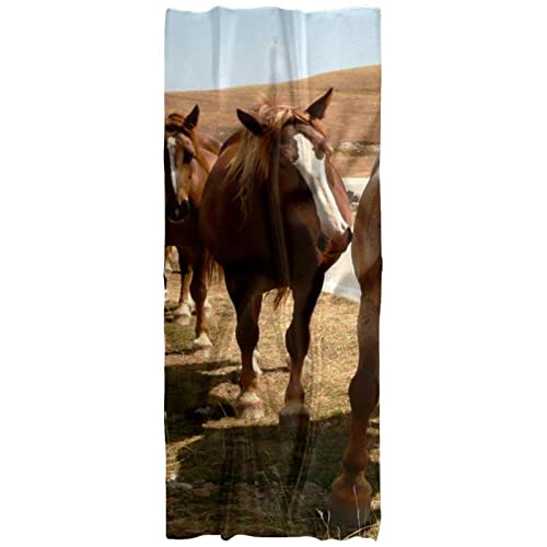 Écharpe légère pour femme motif cheval : le cadeau idéal