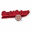 Louisiana-Lafayette Ragin Cajuns Distressed