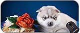 Große Gaming-Mauspad, Hunde Husky-Welpen-Schild Paws Büro-Mauspad