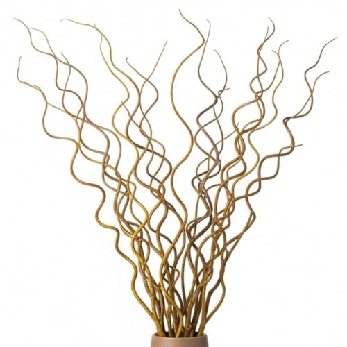 CZ Grain Natural Curly Willow Branches for Decor, 16-24 Inches