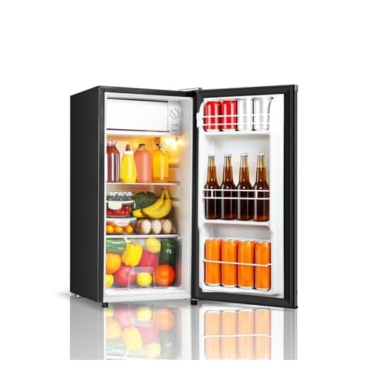 Compact Mini Fridge with Freezer Function