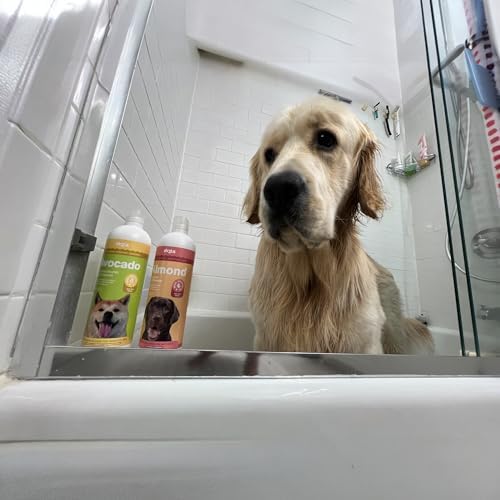 OVZLA Dog Shampoo – Rosemary Fresh Herbal Formula, Deep Clean & Odor Control for Dogs, Helps Remove Dirt & Smell, Leaves Coat Clean, Light & Revitalized – pH Balanced, SLES-Free — view 4