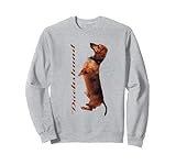 Dachshund Stuff
