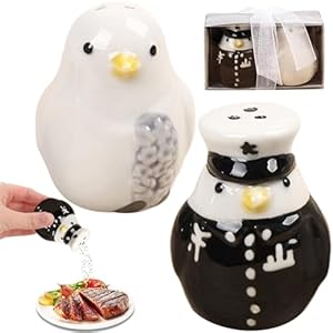 Freche V&ouml;gel! Salz- und Pfefferstreuer, M&ouml;wen-P&auml;rchen aus Keramik | Geschenk-Deko