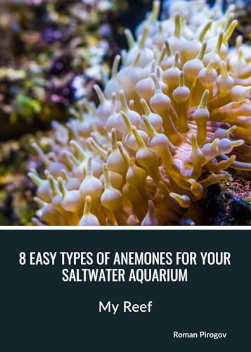 8 Easy Types of Anemones for Your Saltwater...