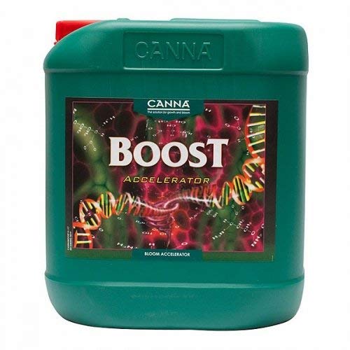 Boost Accelerator 5 litres - NA0181BF