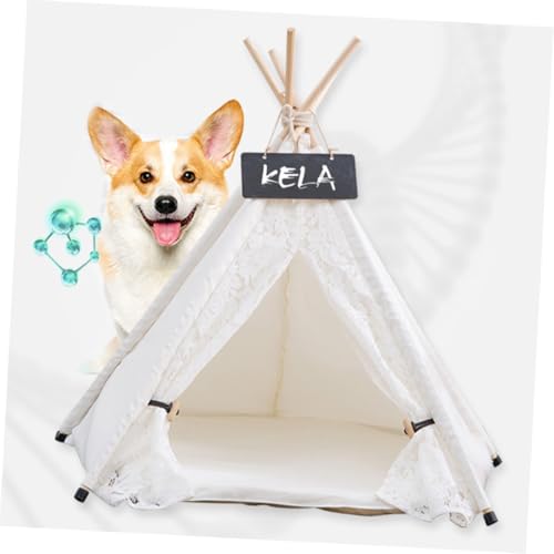 Maison pour petit chien et chat portable pour le salon