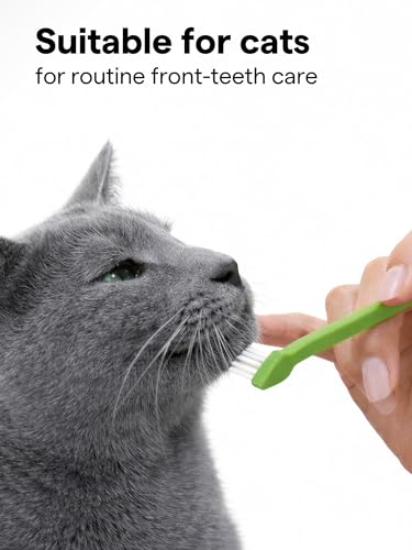 Pet Toothbrush Set of 6 for Dogs & Cats - Dual-Head Dog Toothbrush with Soft Nylon Bristles - Long Handle for Daily Dental Care - Home Use Toothbrush Pack for Small to Large Pets - eBook Guide - Image 5