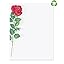 Red Rose