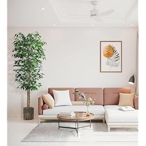 2Packs 6FT Artificial Ficus TreeFake Plants with Sturdy Plastic Nursery PotFaux Ficus Trees for Home Office Living Room Farmhouse Indoor Outdoor Decor Perfect Housewarming Gift 6FT 2Packs