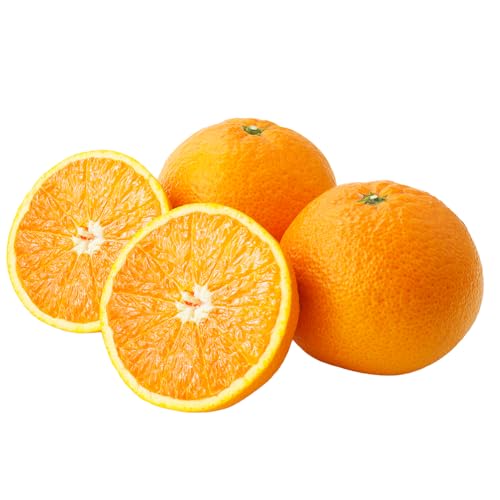 清見オレンジ 家庭用 約2kg 愛媛県 西予市