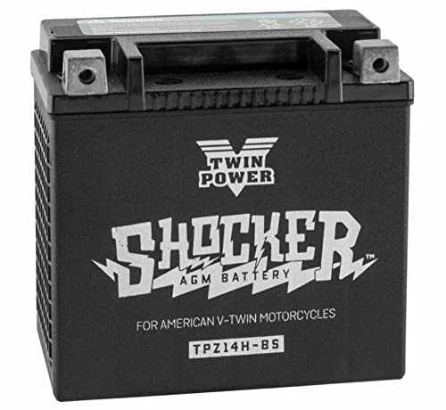 Twin Power Shocker Battery