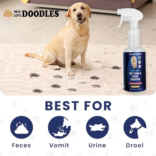 We Love Doodles Pet Stain & Odor Remover, Dog Urine Enzyme Cleaner, Organic Enzymatic Ingredients, Pee Spray Eliminator For Carpet, Made in USA, Professional-Grade Kid & Pet-Friendly, 16 oz We Love Doodles Pet Stain & Odor Remover, Dog Urine Enzyme Cleaner, Organic Enzymatic Ingredients, Pee Spray Eliminator For Carpet, Made in USA, Professional-Grade Kid & Pet-Friendly, 16 oz