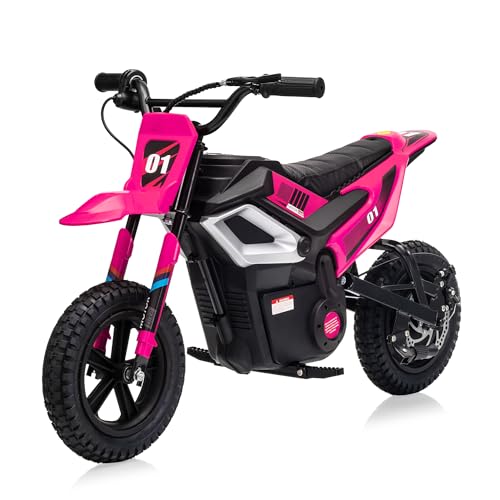 Electric Dirt Bike for Kids 10+, 24V 350W Brushless Motor