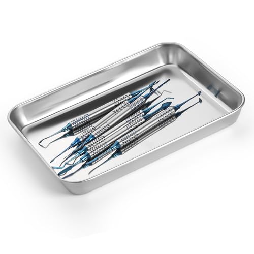 Image of JMU Medical Surgical Stainless Steel 60 Pcs, 9.06 inch x 6.69 inch x 1.10 inch Dental Lab Instrument Trays, Flat Tray