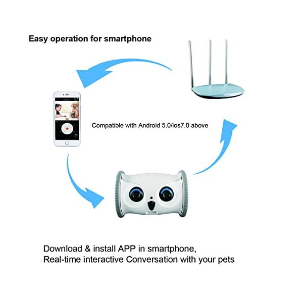 Interactive Toy for Dogs