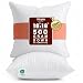 Utopia Bedding Throw Pillows Insert - Bed and Couch Pillows - Indoor Decorative Pillows (18 x 18-2 Pack)
