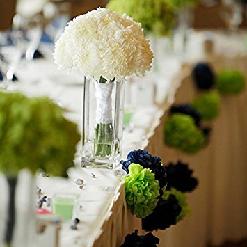 Fascola 12 Pcs White Blue Tissue Hanging Paper Pom-Poms, Hmxpls Flower Ball Wedding Party Outdoor Decoration Premium Tissue Paper Pom Pom Flowers Craft Kit #TOP2