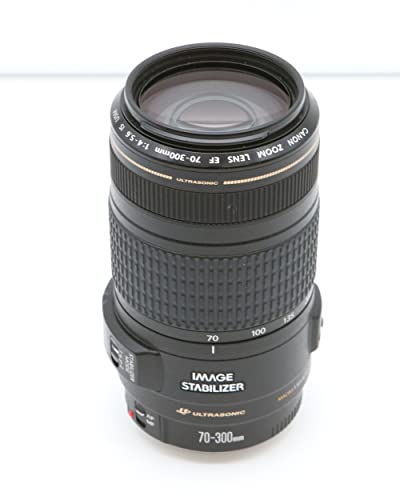 Canon Ef 70-300Mm F/4-5.6 Is Usm