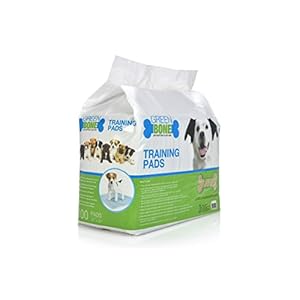 Puppies  Indoor Dogs Training Pads 100 Count  Cucciolini Doodles Puppies  indoor dogs training pads 100 count   cucciolini doodles