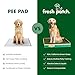 Fresh Patch Real Grass Patch for Dogs, Cats, and Extra Large Pets 30 Pounds and Above – Disposable Pet Grass Pee Pads – Indoor and Outdoor Potty Training Mat (24 Inches x 48 Inches)