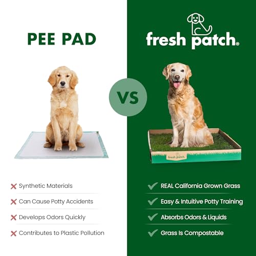 Fresh Patch Real Grass Patch for Dogs, Cats, and Large Pets 15-30 Pounds – Disposable Pet Grass Pee Pads – Indoor and Outdoor Potty Training Mat (24 Inches x 24 Inches)