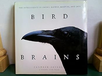 Bird Brains: The Intelligence of Crows, Ravens, Magpies, and Jays