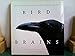 Bird Brains: The Intelligence of Crows, Ravens, Magpies, and Jays