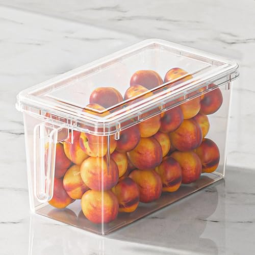 Leak Proof Clear Food Storage Containers with Lid and Handle for Kitchen (Clear) - image 6