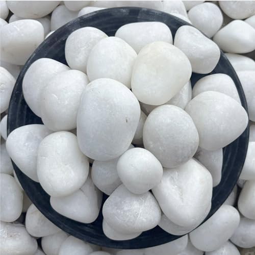 Image of Foodie Puppies White Polished River Rock Stones (White Jumbo, 1Kg) (4cm - 6cm, Extra Large) Decorative Pebbles for Aquarium /Fish Tank, Garden, Home Decor & Pool, Natural Polished Unplanted Substrate