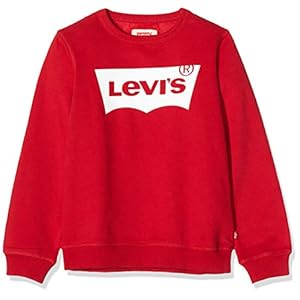 Levi’s Kids Lvb Batwing Crewneck Pullover voor kinderen