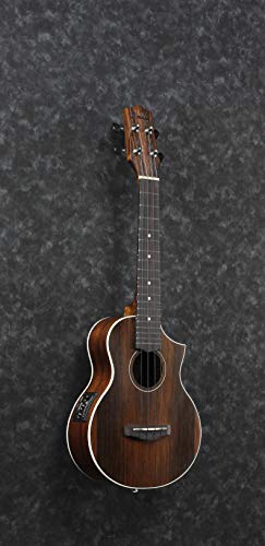 Ibanez UEW13MEE-DBO UEW Series Ukulélé électro-acoustique 4 cordes Marron foncé - Les Beatles, Paul McCartney, John Lennon, RIngo Starr, George Harrison Ibanez UEW13MEE-DBO UEW Series Ukulélé électro-acoustique 4 cordes Marron foncé – Image 4