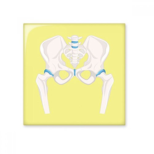 Carrelage céramique pelviens cadeau idéal pour médecin et passionné d'art - 2