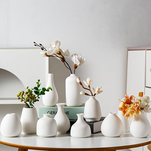 Tanvecle White Ceramic Bud Vase Set of 11, Small Vases