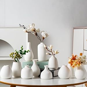 White Ceramic Bud Vase Set of 11, Small Vases for Pampas Grass, Flowers, Mini Vases for Modern Home Decor, Minimalist Decor, for Living Room, Dining Table & Shelves