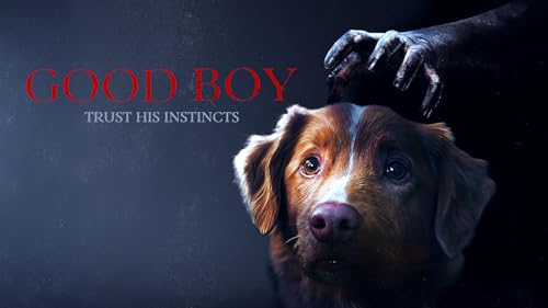 Good Boy - Trust his Instincts