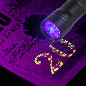 Beinhome UV-Taschenlampe schwarzes Licht [5 Stück], UV-Lampe, Haustier Urindetektor für getrocknete Urin Flecken von Hund und Katze, Detektor für Nachahmungen Banknoten (einschließlich Batterien)