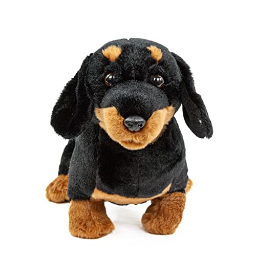Teddys Rothenburg Kuscheltier Hund Dackel 30 cm schwarz-braun Plüschhund Plüschtier