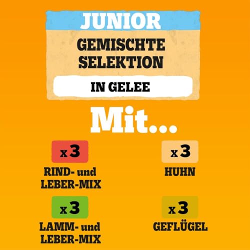 Pedigree DOGCARE Hundefutter Portionsbeutel Chunks in Gelee Junior 4 x 12 x 100g