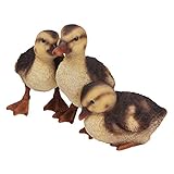 Naturgetreue Optik und fein gearbeitete Details