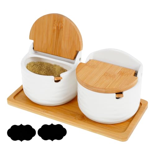 Lot de 2 sucriers avec couvercle, salière avec cuillère, pots à épices en céramique avec plateau de service, récipient à sel, boîte de rangement pour la cuisine, le sel, les épices, le poivre, les