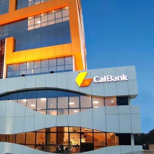 Page de couverture de CalBank Digital Meltdown: System Upgrade Leaves Customers Cash-Strapped and Desperate