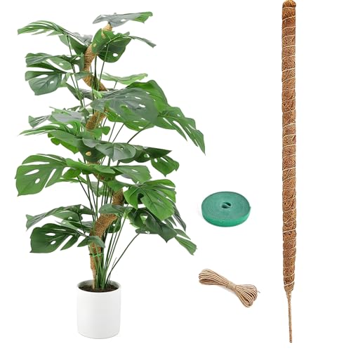 Bastone per Piante Rampicanti, 120cm Palo del Muschio per la Pianta, Palo in Fibra di Cocco per Piante Rampicanti, Supporto Monstera per Piante Rampicant da Interni