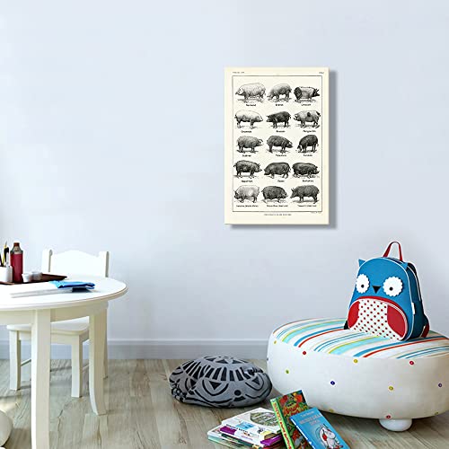 Pig Wall Art Canvas Framed Animal Posters Educational Wall Art Vintage Prints Pig Types Knowledge Poster Painting Farm Animal Wall Decor Artwork Framed 16X24(40X60Cm) #TOP4