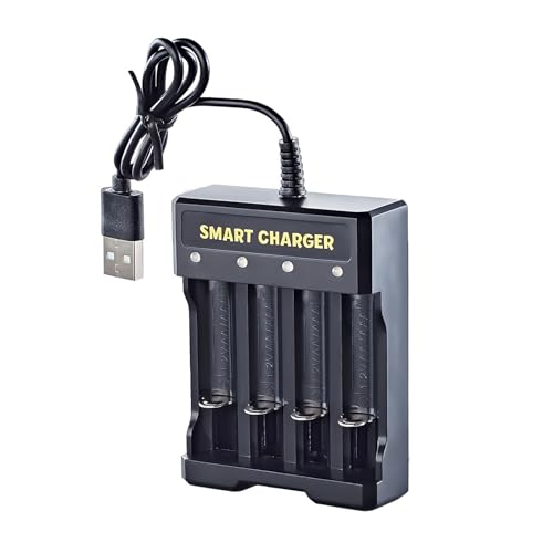 Estación de carga para baterías recargables dobles o triples A de 1,2 V con pantalla LED, entrada USB, cargador de batería
