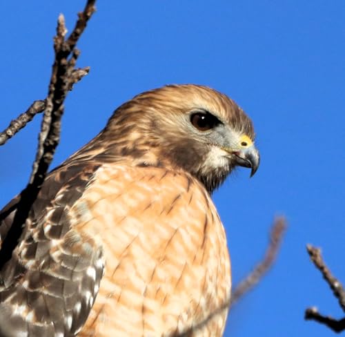 Episode 11 | Curveballs & Snowballs